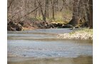 Property photo 46 - 137 Acres in 2 Tracts - 64 Tillable Acres, Potential Building Sites, Hunting